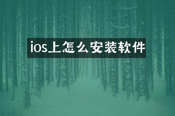 ios上怎么安装软件