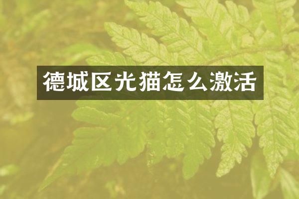 德城区光猫怎么激活