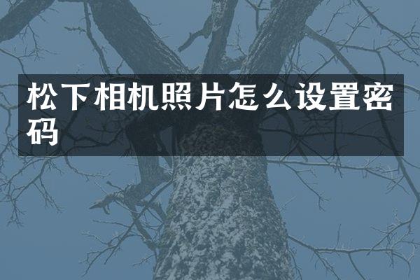 相机照片怎么设置密码