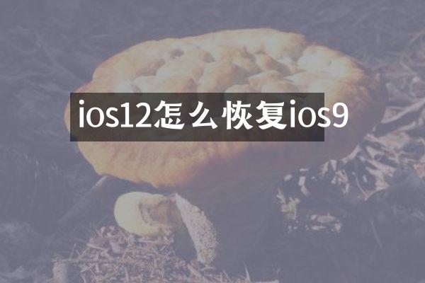 ios12怎么恢复ios9