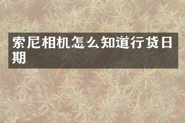 相机怎么知道行货日期