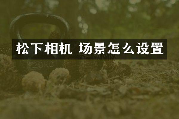 相机 场景怎么设置