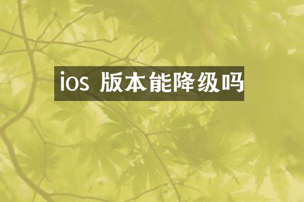 ios 版本能降级吗