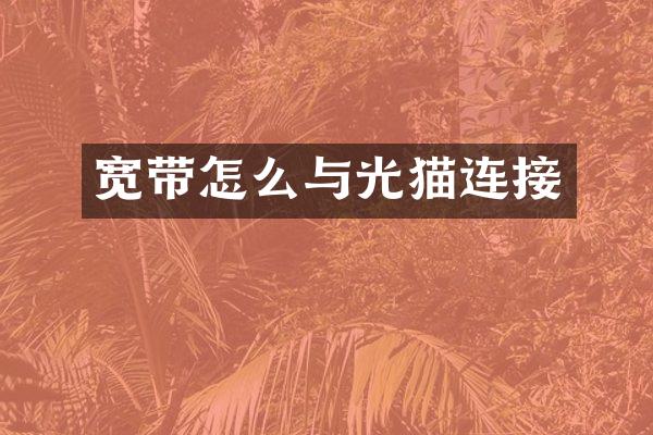 宽带怎么与光猫连接