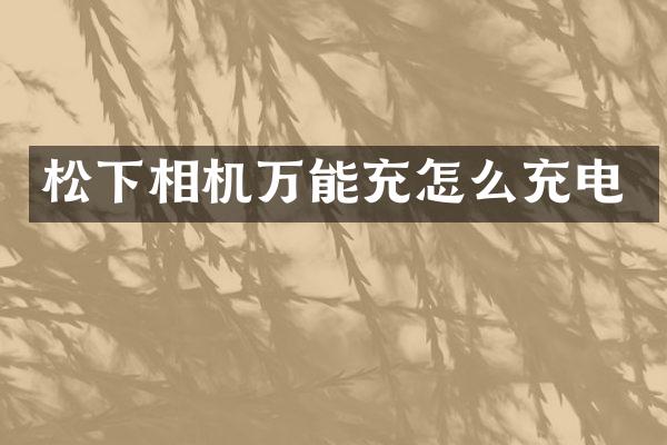 相机万能充怎么充电