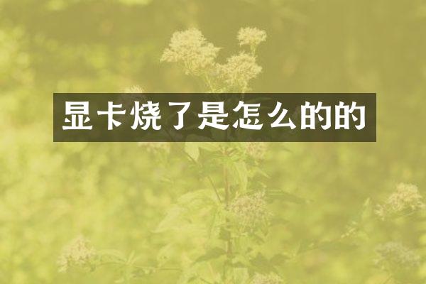 显卡烧了是怎么的的