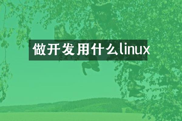 做开发用什么linux