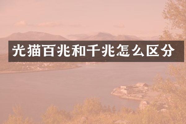 光猫百兆和千兆怎么区分