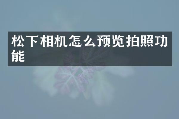 相机怎么预览拍照功能