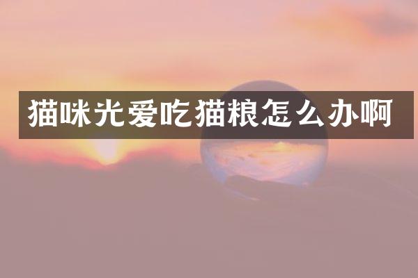 猫咪光爱吃猫粮怎么办啊
