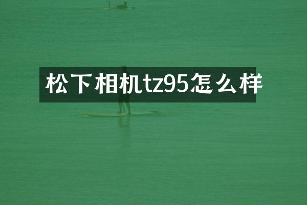 相机tz95怎么样