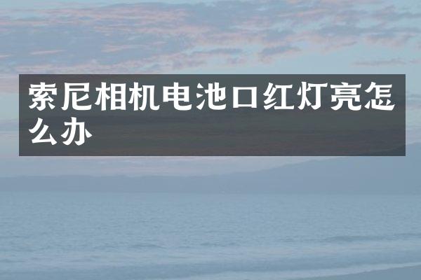 相机电池口红灯亮怎么办