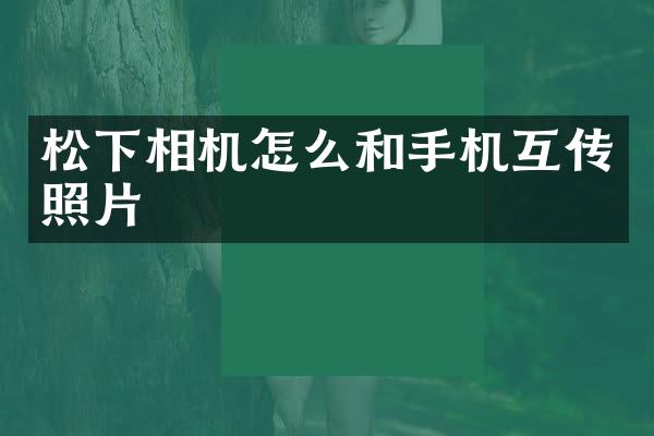 相机怎么和手机互传照片