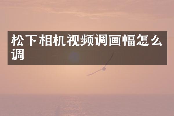 相机视频调画幅怎么调