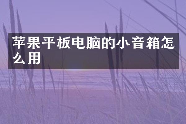 苹果平板电脑的小音箱怎么用