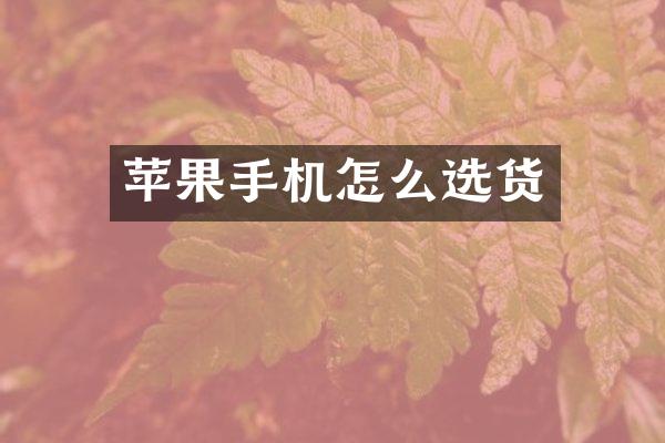 苹果手机怎么选货