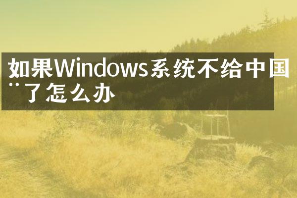 如果Windows系统不给中国用了怎么办