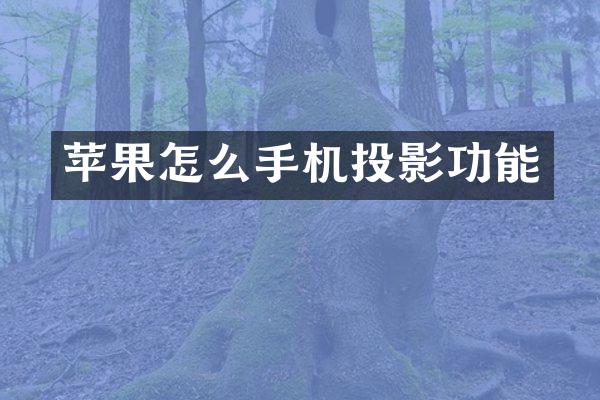 苹果怎么手机投影功能