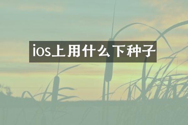 ios上用什么下种子