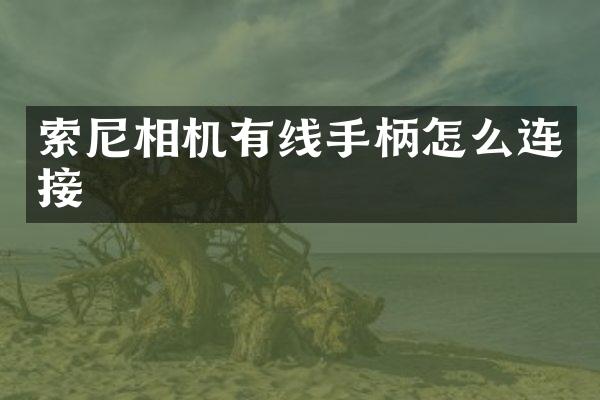 相机有线手柄怎么连接