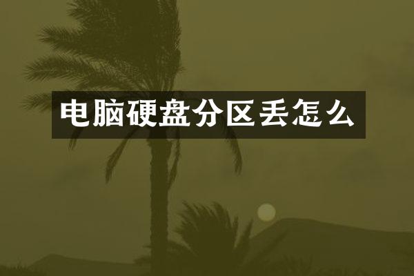 电脑硬盘分区丢怎么
