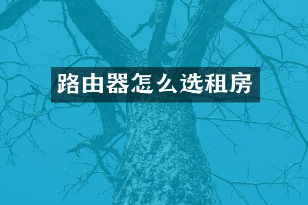 路由器怎么选租房