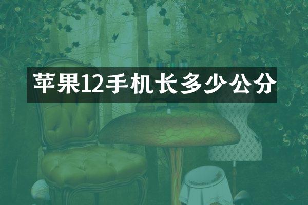苹果12手机长多少公分