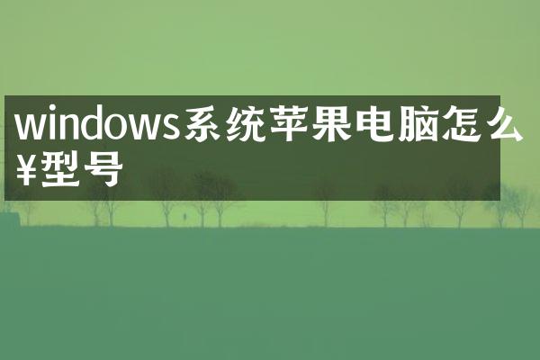 windows系统苹果电脑怎么查型号