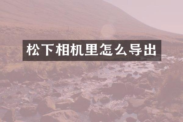 相机里怎么导出