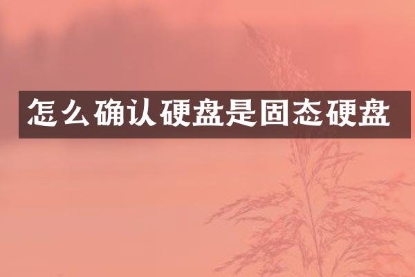 怎么确认硬盘是固态硬盘