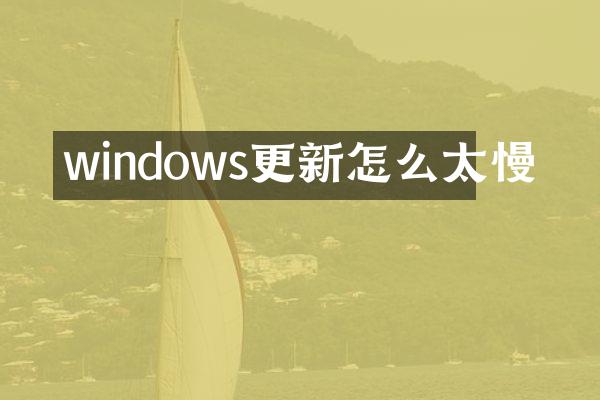windows更新怎么太慢