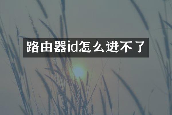 路由器id怎么进不了