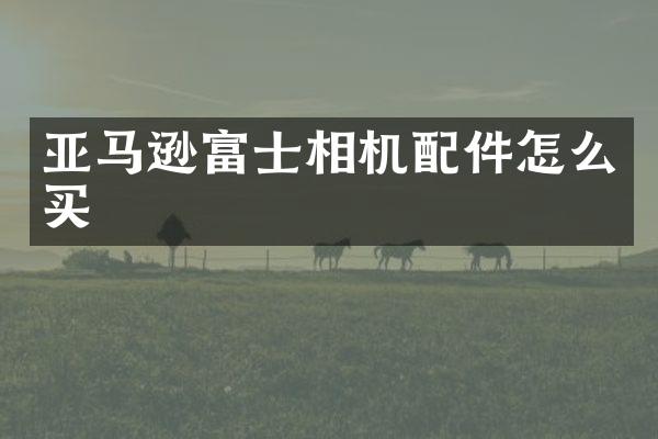 亚马逊富士相机配件怎么买