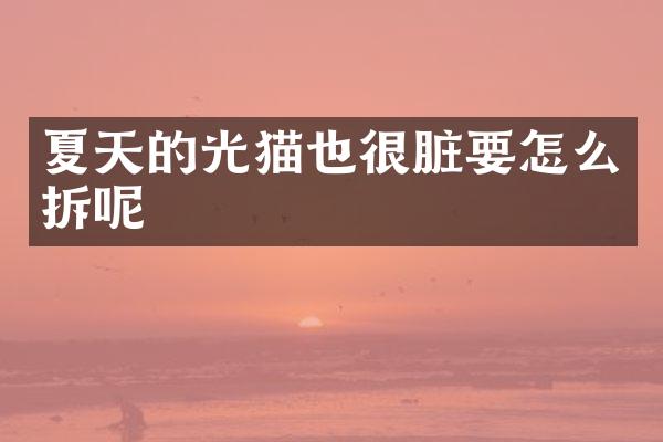 夏天的光猫也很脏要怎么拆呢