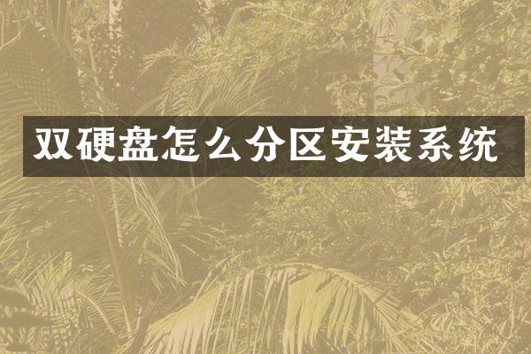 双硬盘怎么分区安装系统
