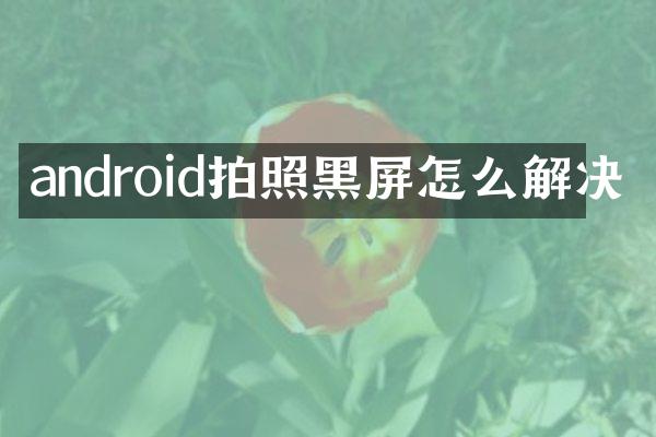 android拍照黑屏怎么解决