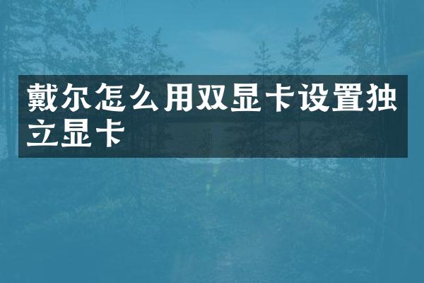 戴尔怎么用双显卡设置独立显卡