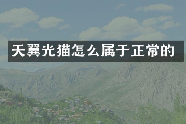 天翼光猫怎么属于正常的