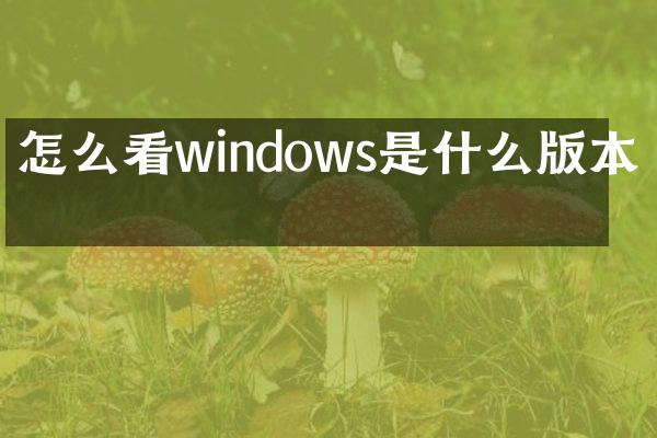 怎么看windows是什么版本的
