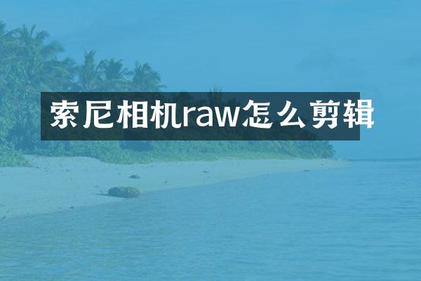 相机raw怎么剪辑