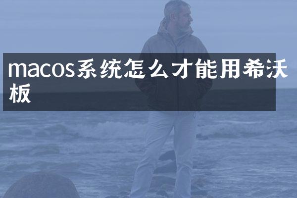 macos系统怎么才能用希沃白板