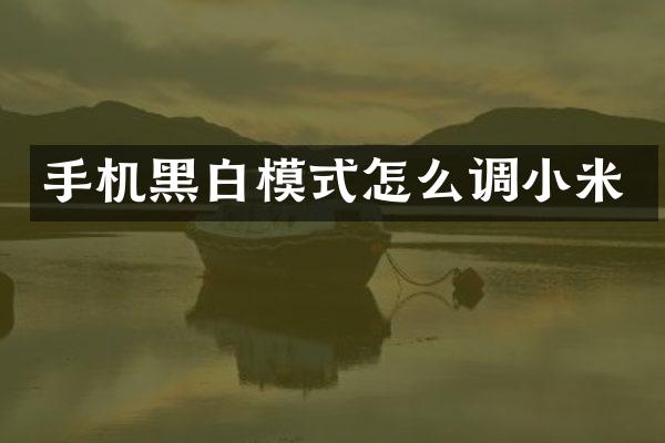 手机黑白模式怎么调小米