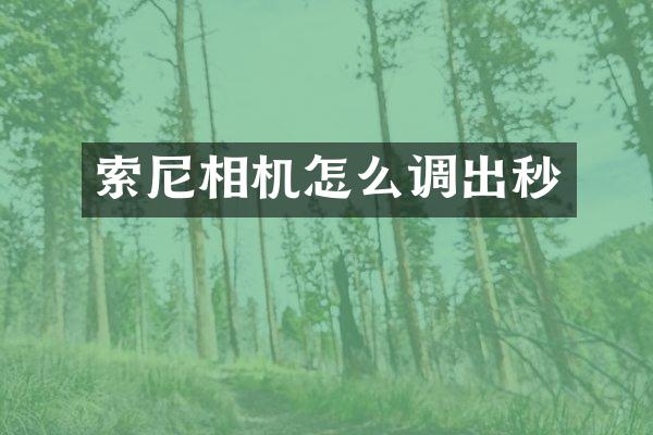 相机怎么调出秒