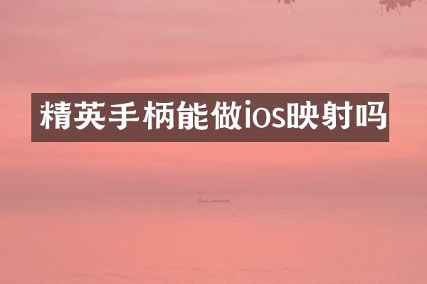 精英手柄能做ios映射吗