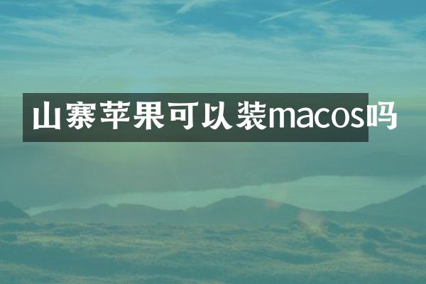 山寨苹果可以装macos吗