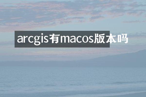arcgis有macos版本吗