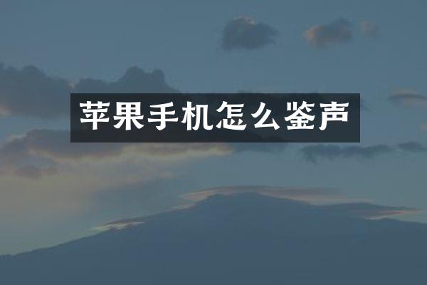 苹果手机怎么鉴声