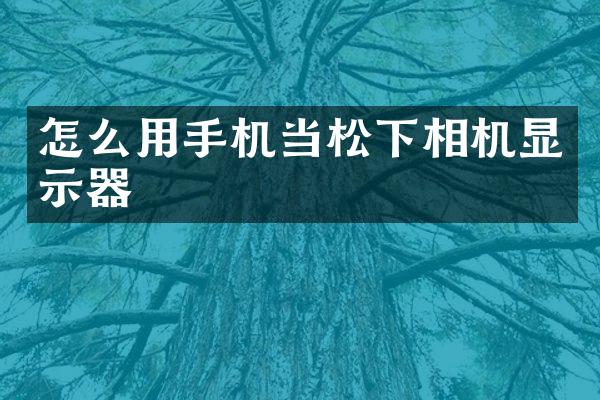 怎么用手机当相机显示器