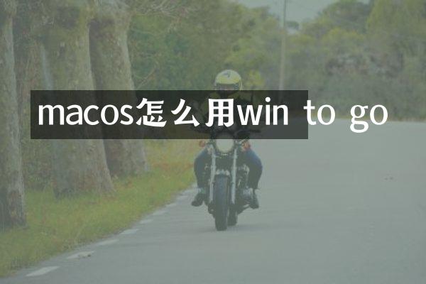 macos怎么用win to go