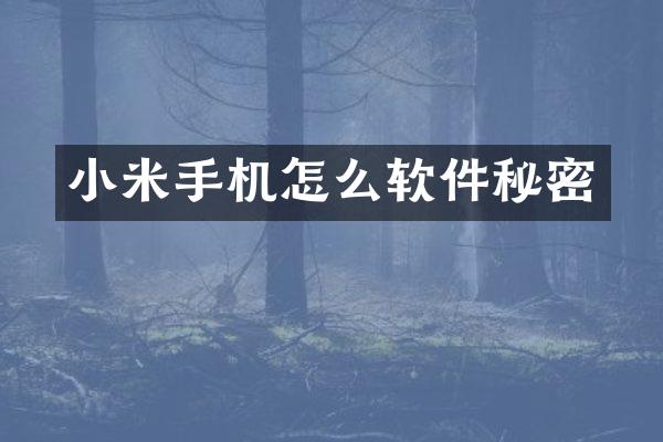 小米手机怎么软件秘密